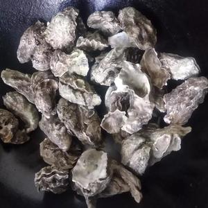 含锌的食物比较高的有哪些（哪些食物含锌元素比较丰富）