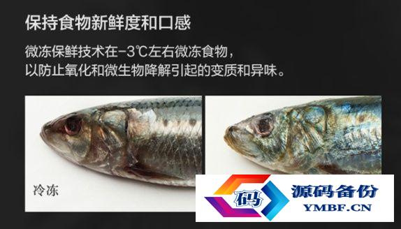西门子冰箱好吗（西门子冰箱的质量如何）-第6张图片