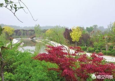 周口旅游景点排行榜免费（周口市区旅游景点排行榜）-第4张图片