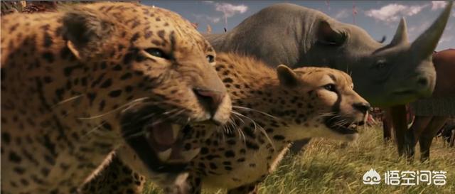 美国魔幻电影排行榜前十名（欧美魔幻电影排行榜前十名）-第6张图片