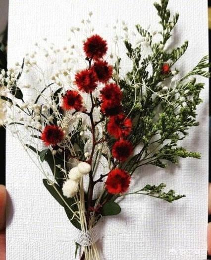 东永裴闵孝琳(东永裴事件)-第2张图片 东永裴闵孝琳(东永裴事件)-第2张图片