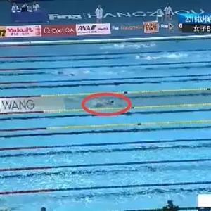 游泳世锦赛奖牌榜排名（短池游泳世锦赛奖牌榜）