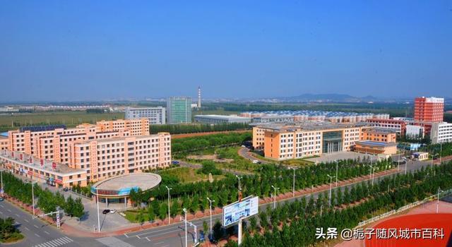 沈阳专科学校排名公办（山东专科学校排名公办）-第11张图片