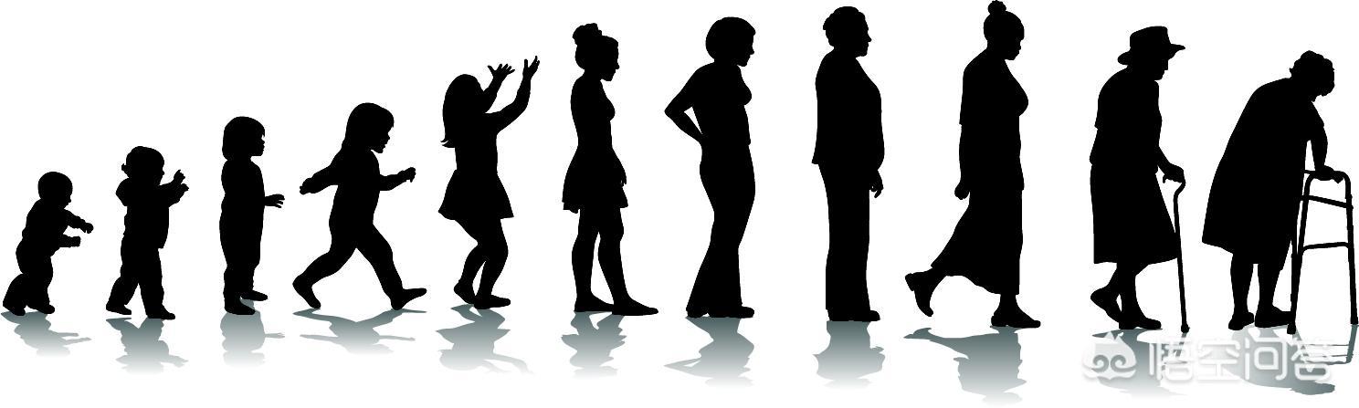 世界最长的男性器官（世界男性寿命最长的国家）-第1张图片