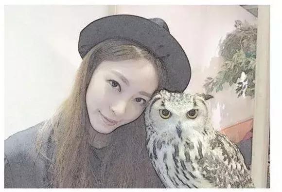 vov化妆品（vov化妆品是哪国品牌）-第16张图片