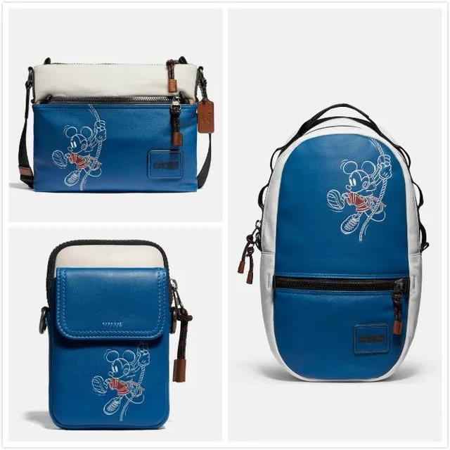 迪斯尼包包品牌（迪斯尼旗下品牌）-第16张图片