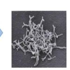 丁家宜美白保湿霜能美白吗（丁家宜美白洗面奶可以美白吗）