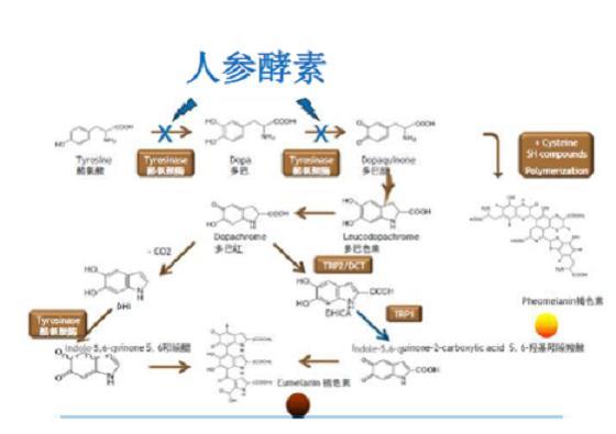 丁家宜美白保湿霜能美白吗（丁家宜美白洗面奶可以美白吗）-第3张图片