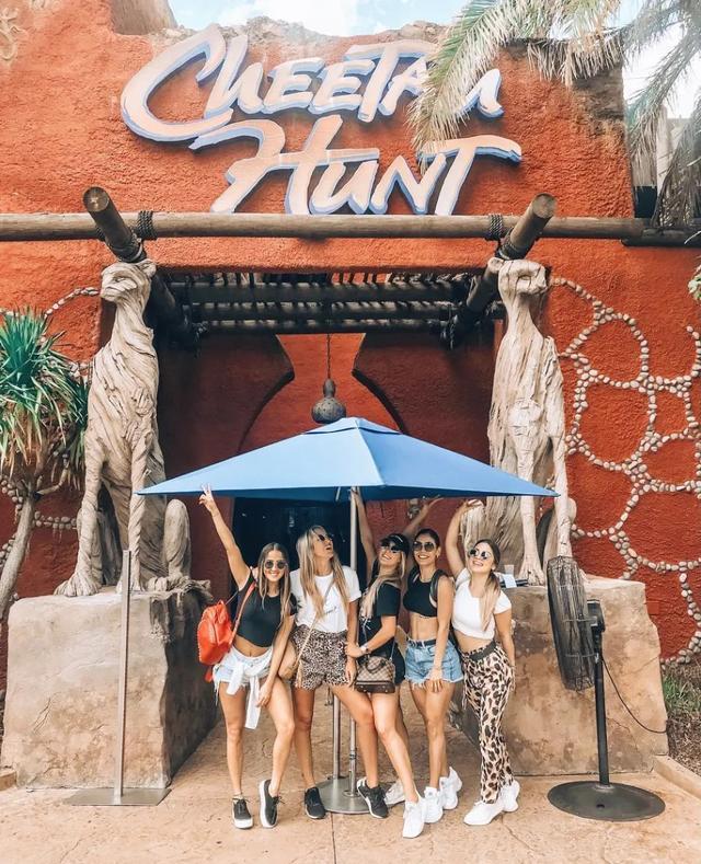 金达卡过山车（京达卡过山车）-第6张图片