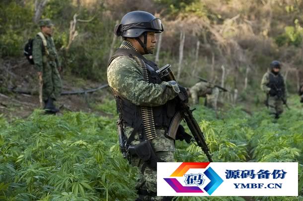 巴勃罗·埃斯科巴vs古兹曼（巴勃罗·埃斯科巴古兹曼）-第5张图片