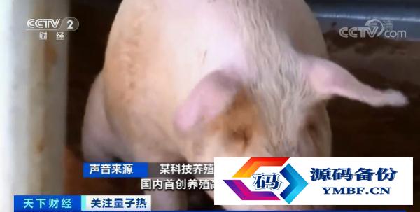水能量小分子活水器怎么样（小分子活水杯）-第3张图片