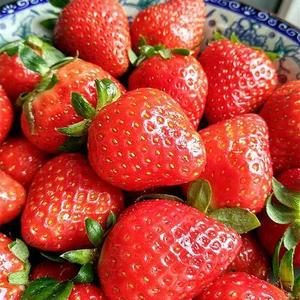 十大卵巢保养品排行（十大卵巢保养产品）