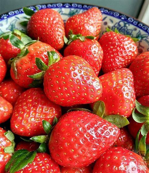 十大卵巢保养品排行（十大卵巢保养产品）-第1张图片