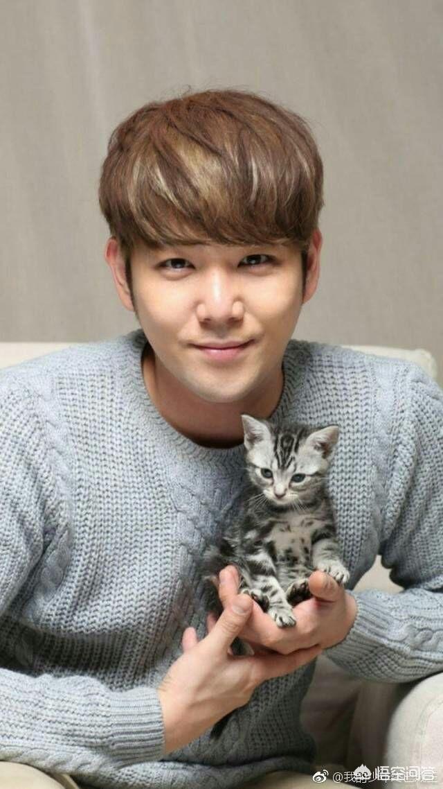 韩国当红男组合（韩国当红男团组合）-第24张图片