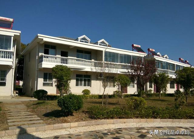 谷凤杰事迹材料（谷凤杰人大）-第1张图片