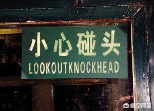 letitout（letitout中文是什么）-第1张图片