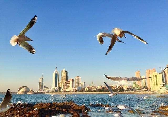 山东旅游景点排名（山东旅游景点大全景点排名）-第19张图片