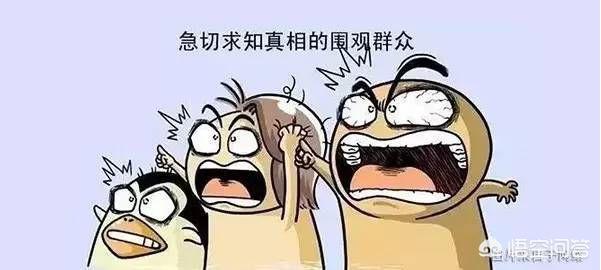 迷迭香庄园传销（成都迷迭香庄园）-第1张图片