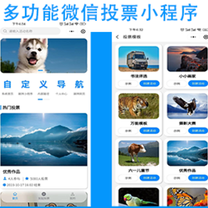 微信投票多功能投票小程序流量主投诉管理选手弹幕礼物功能排行榜微信小程序公众号版本