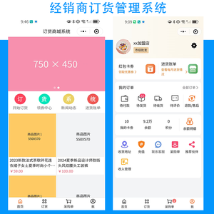 运营一条龙搭建经销商订货管理系统微商代理加盟商连锁门店批发贸易供应链连锁门店进货