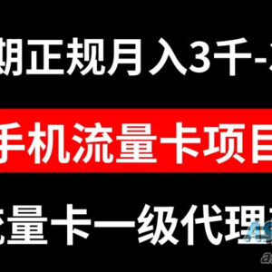 正规长期手机流量卡代理项目，月入 3000-3w 万元不等