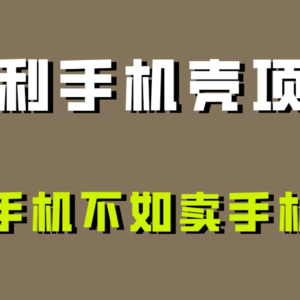 探析手机壳项目：为何卖手机壳比卖手机更具暴利性？