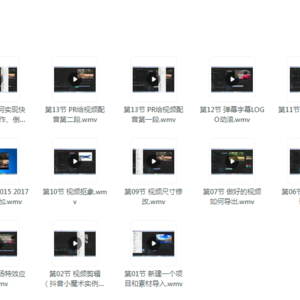 想学PR的有福了，一小时学会PR剪视频