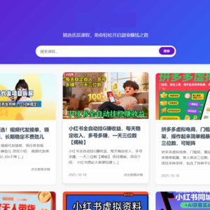 冒泡vip教程解析-网赚资源