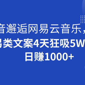 抖音与网易云音乐意外相遇，创造不寻常的文案，仅用四天吸引了五万粉丝，每日收入超过1000+
