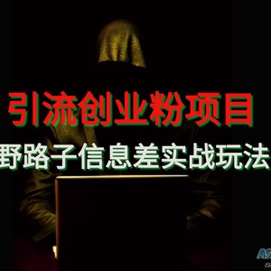 【引流创业粉】野路子信息差引流玩法实战教学
