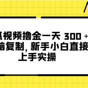 西瓜视频每天轻松赚取300元以上，零基础复制实操，新手小白也能直接上手