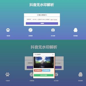 抖音在线去水印解析网PHP源码