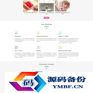 (自适应手机端)海外就医网站源码 医疗试管婴儿网站pbootcms模板