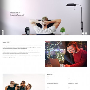 中小型互联网开发公司网站模板