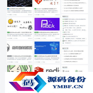 高颜值自适应博客主题Puock WordPress主题