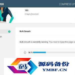 WordPress插件WPSmushProv3.7.0图片上传压缩插件WordPress图像优化插件