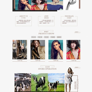 咖啡色女装服饰网站源码 织梦dedecms模板[带手机版数据同步]