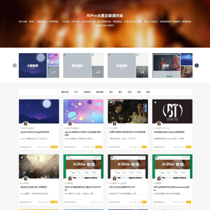 wordpress日主题(RiPro7.2)独家修复明文完整版