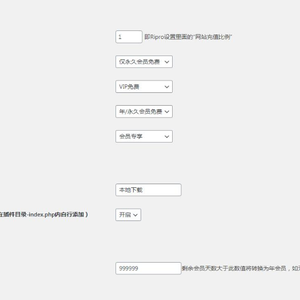 【RiPro/RiPlus】RiPro资源文章转换 RiPlus资源文章插件 WordPress转换插件