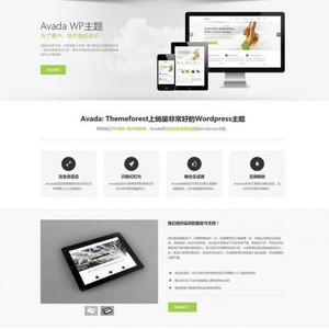 Avada多功能企业主题去授权无限制版本（更新V5.8.2）WordPress主题模板