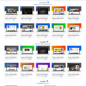 价值99元正版Ripro子主题-jizhi-chlid极致主题最新去授权版