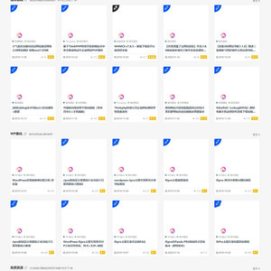 RiPro日主题V6.6官方最新版美化包-子主题-child简洁大气集成后台美化包v1.6（持续更新）