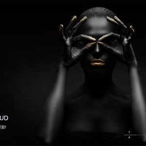 (自适应手机版)响应式滚屏摄影相册类网站源码 html5全屏艺术摄影设计类网站织梦模板